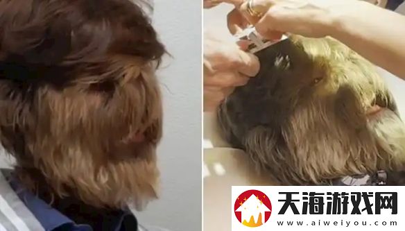 印度少年获“最毛脸”吉尼斯纪录
