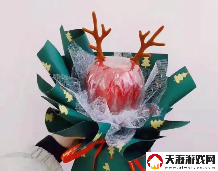 圣诞密码使用方法是什么