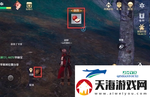 诺亚之心苹果树在哪