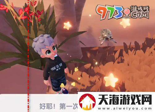 心动小镇银光宝石丽金龟怎么获得